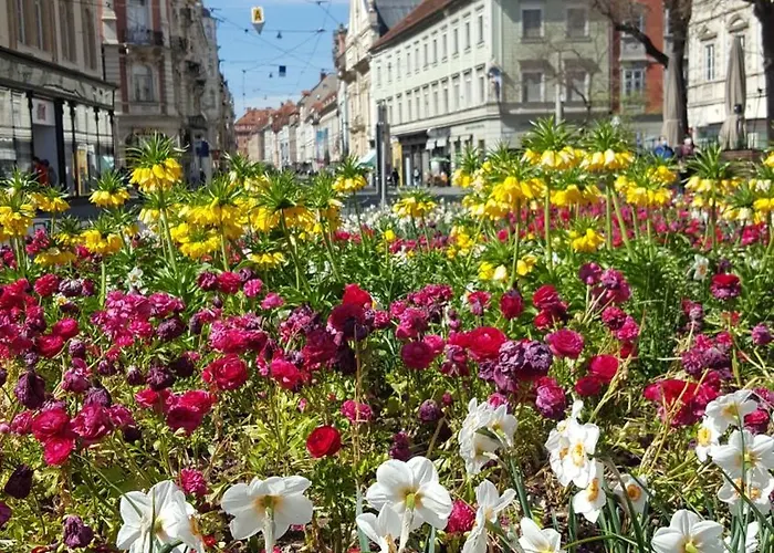 Kienreich - Moderne, Ruhige Altbauwohnung Im Herzen Der Altstadt